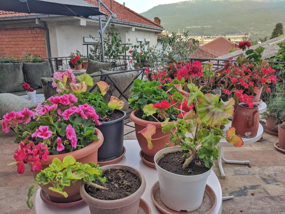 Apartments Evelyn Ohrid Exterior foto